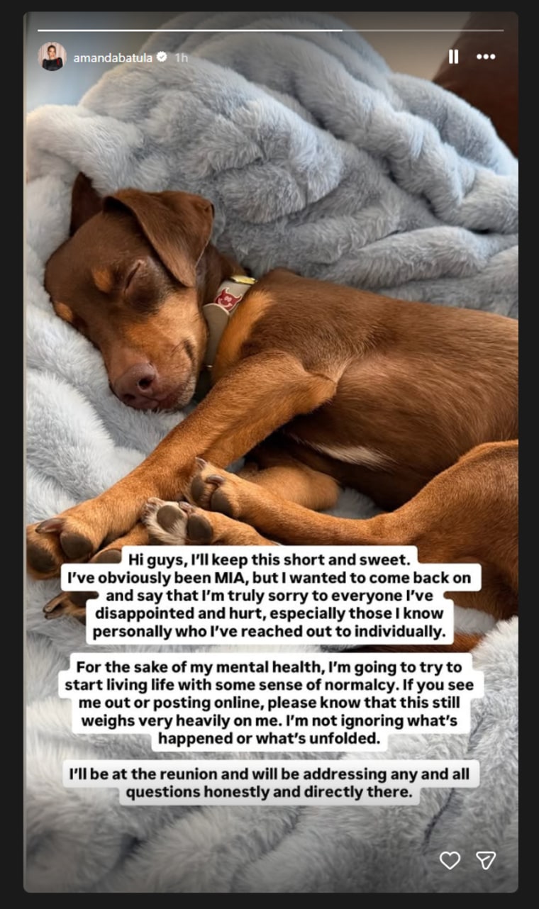 an instagram story grab from amanda batula