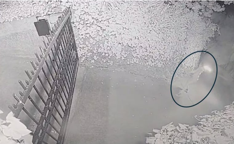 A screenshot from a security camera shows a person identified by authorities as Daniel Moreno-Gama throwing a Molotov cocktail at the home of OpenAI CEO Sam Altman.