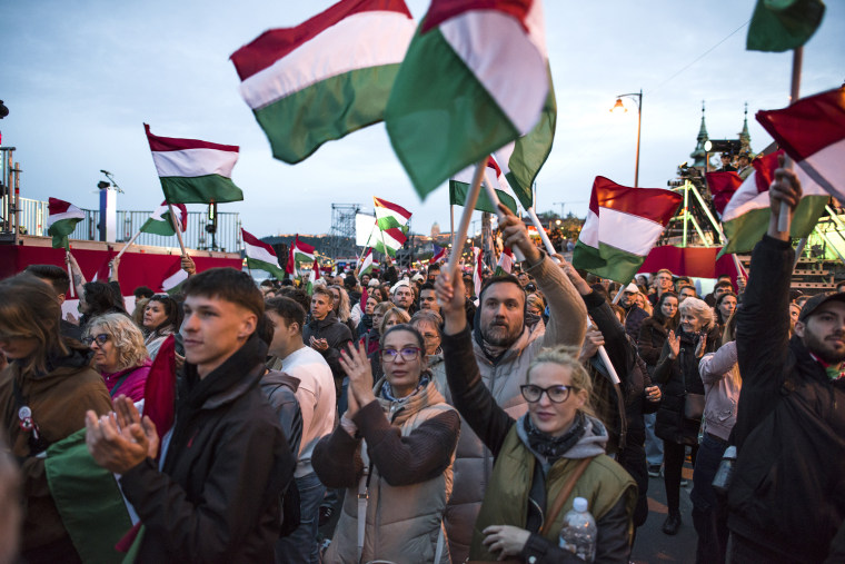 A crowd celebrates the announcement of election results