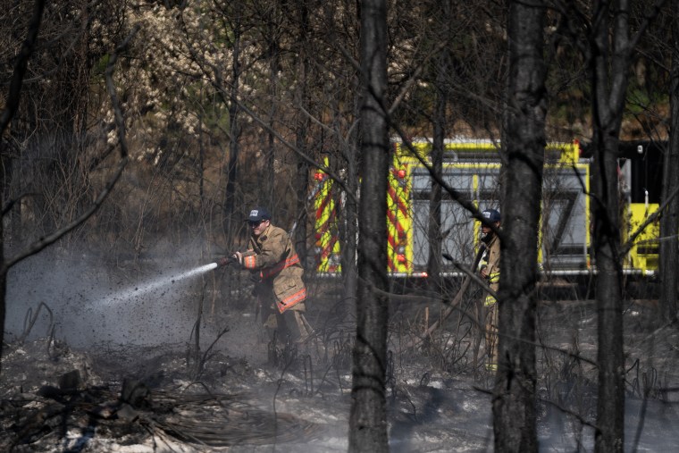 A firefighter using a hose in a forest.