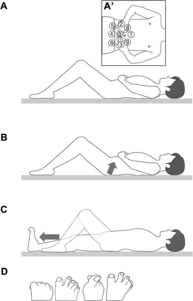 Four exercises, including the toe scrunches, to help improve balance.