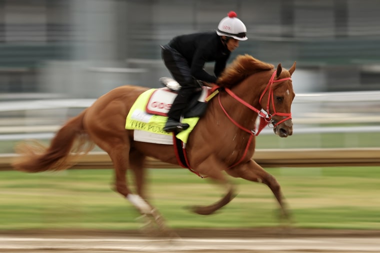 A blurred view of a horse and jockey racing down the track.