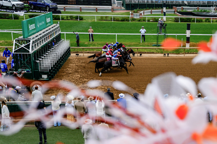 Horses take off from the starting gate.