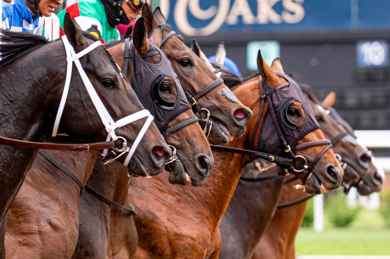 Horses break from the starting gate.