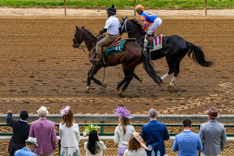 Horses.