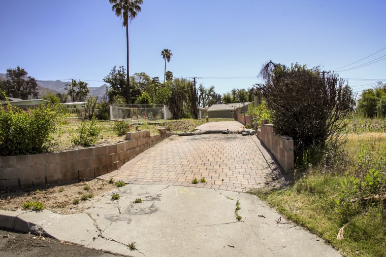 Altadena LA Fires Cleanup