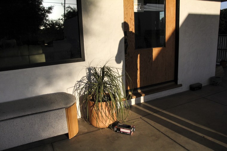 Altadena LA Fires Cleanup