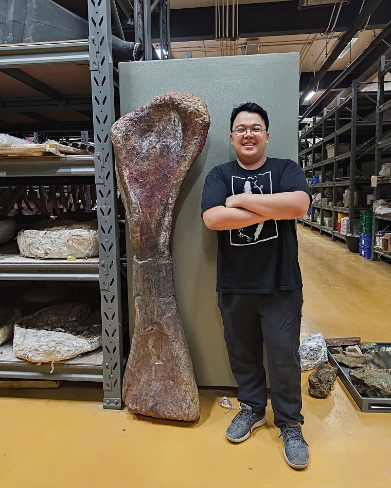 Meet Nagatitan, Southeast Asia's largest dinosaur