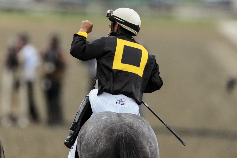 A jockey, seen from behind, raising a fist in triumph while riding a gray horse.