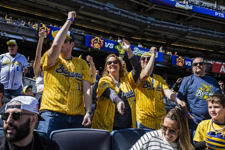 Fans cheer during a Savannah Bananas baseball game.