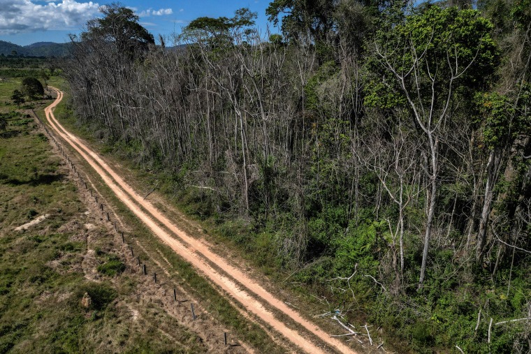 CLIMATE-COP30-BRAZIL-UN-AMAZON-FOREST FIRES
