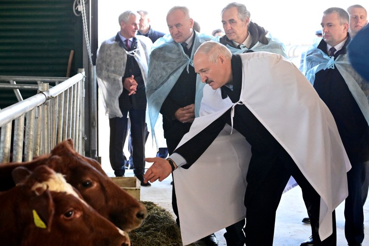 Lukashenko visits dairy farm Ustensky in Orsha District, Belarus in 2021.