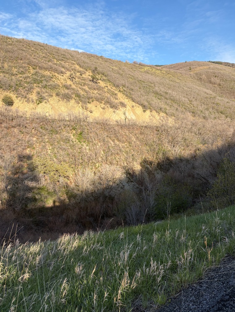 Lambs Canyon