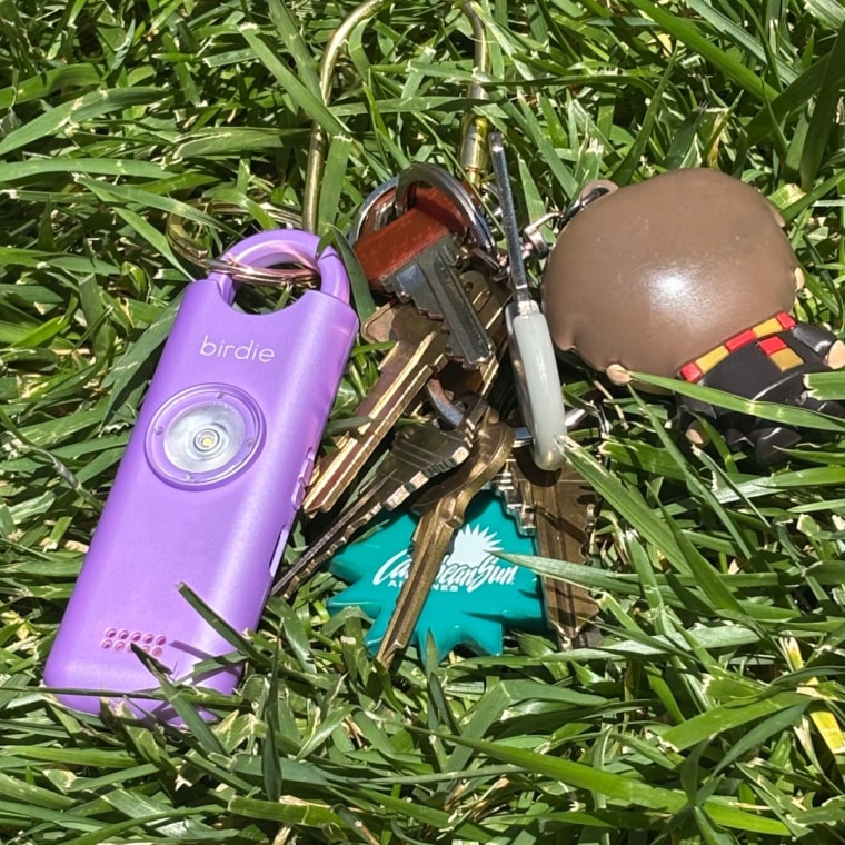 The Birdie alarm on a keychain, in a field of grass.