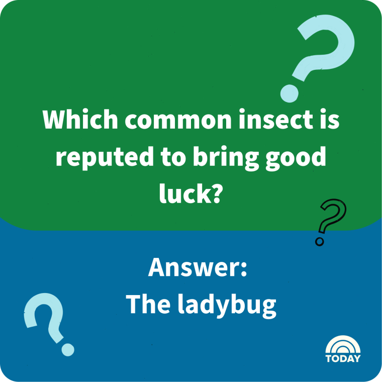 105-easy-trivia-questions-and-answers-for-kids-and-adults