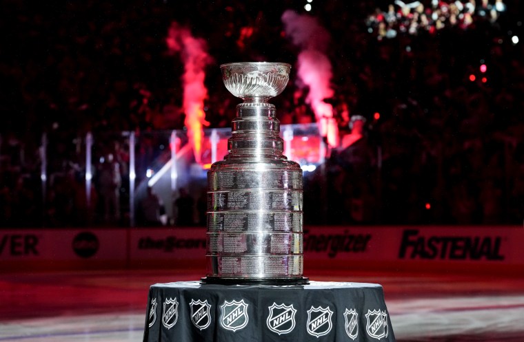 The Stanley Cup seen astatine halfway ice