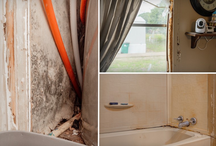 Black mold and water damage have been found throughout Aliea Brown and Mason Obradovich's home.