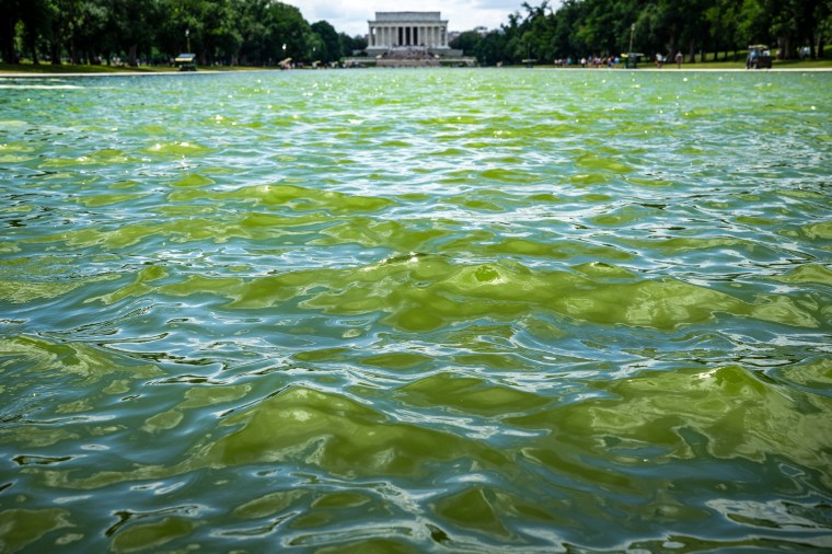 Lincoln Memorial Reflecting Pool.
