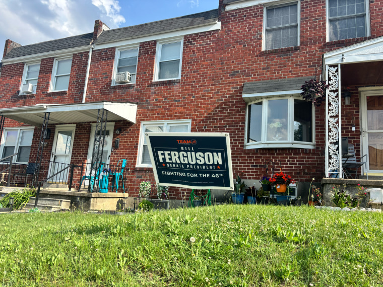 A lawn sign for Bill Ferguson is seen on a lawn in front of a brick house