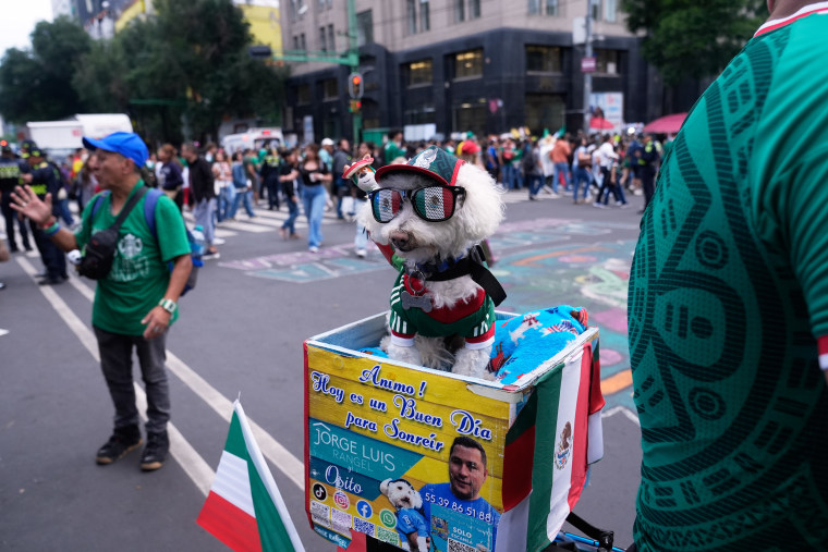 Mexico WCup Soccer Reaction