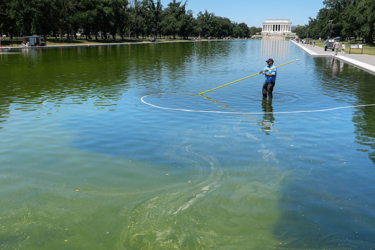 A National Park Service employee uses a vacuum pump to clean algae off the bottom of the newly repainted Lincoln Memorial Reflecting Pool on the National Mall on June 16, 2026 in Washington.