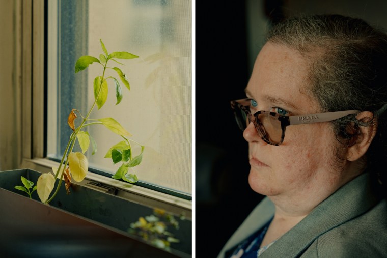 A split composite image of a small leafy plant on a window sill, left, and Rebecca Anger close up profile portrait