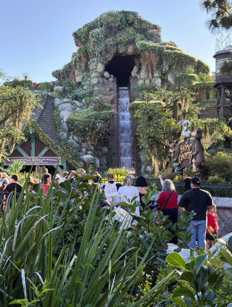 Visitors look on at the Tiana's Bayou Adventure ride at Disneyland after a teen fell down its 50-foot waterfall.
