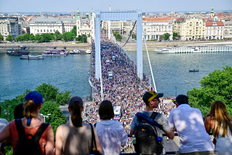 People attend Pride.
