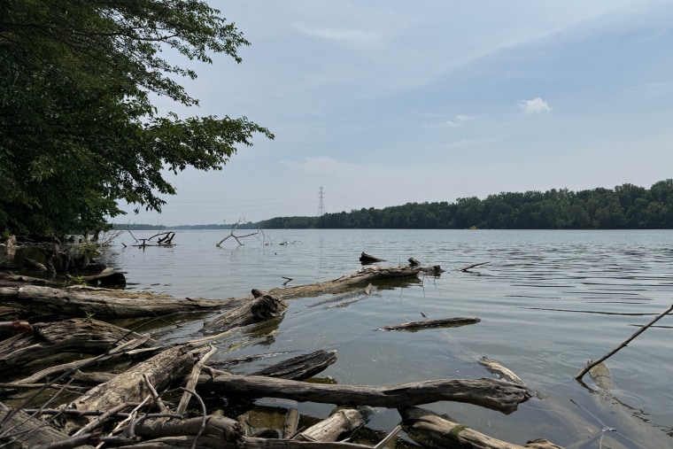 2 married couples from Honduras were among 5 adults who drowned in an Ohio river