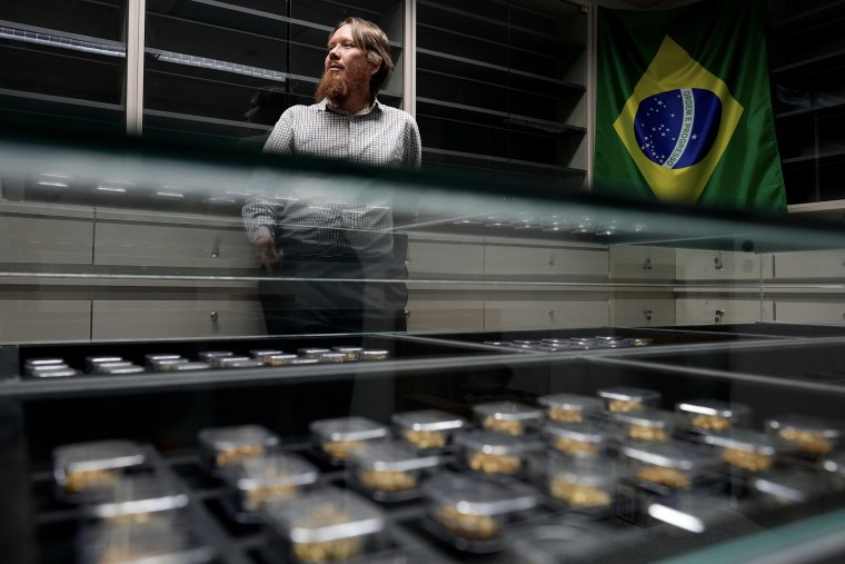 A man standing behind a glass cabinet with rows of small plastic containers with gold in them.