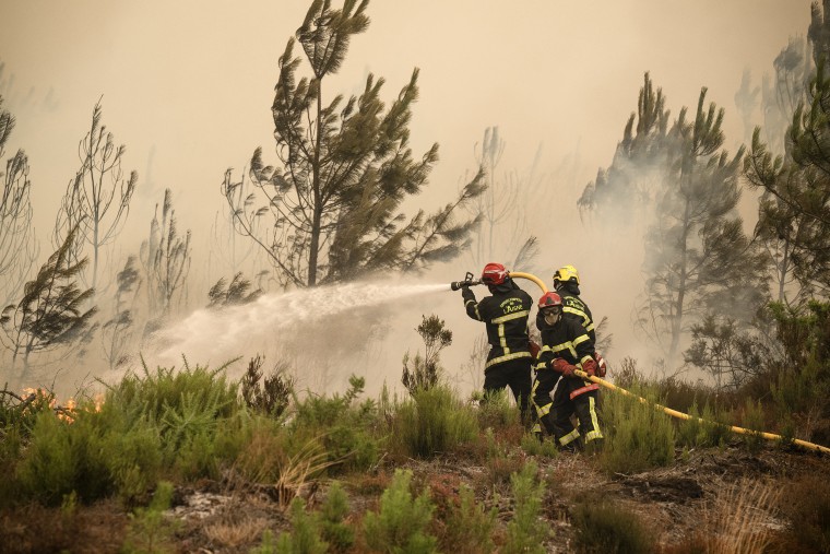 Three firefighters using a hose in front of a wall of smoke in the woods.