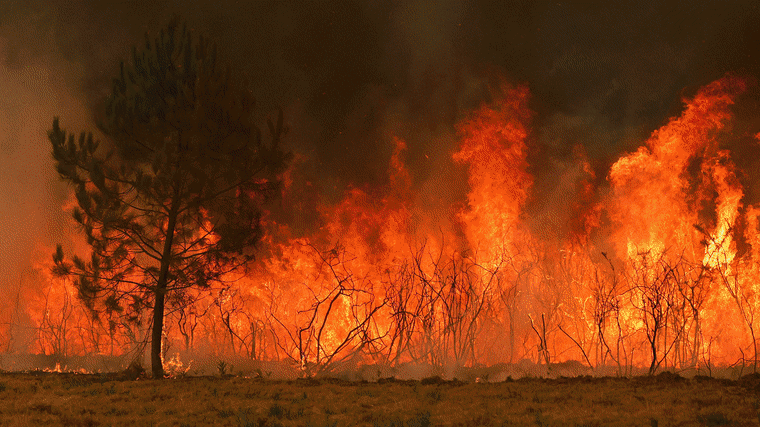 Image: A gif carousel of wildfire images, including firefighting, fire damaged buildings and evacuated residents