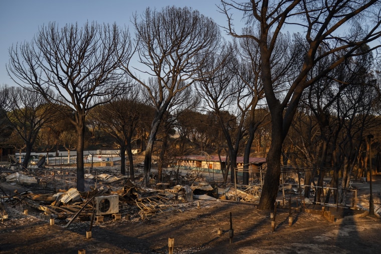 Camping La Ardilla Roja is burnt out next to Pantano de San Juan following wildfires in Spain.