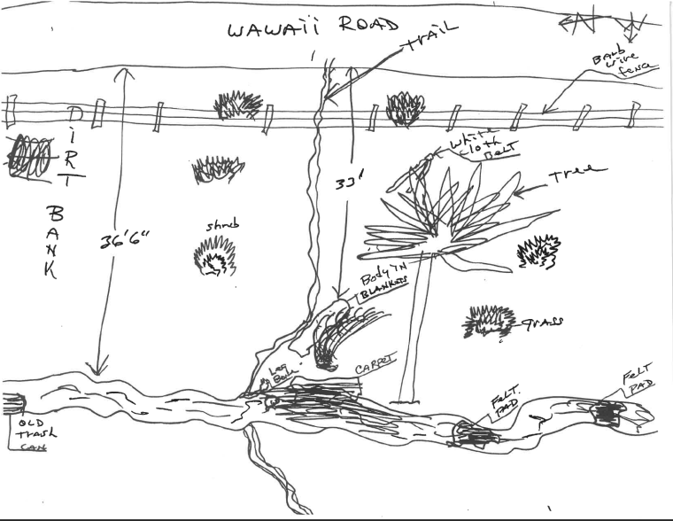 A drawing of the area where Joyce's body was found