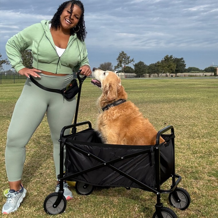 Start TODAY Fitness and Mindset Coach Lacee Green (and her dog!) love the Amazon Basics Collapsible Heavy Duty Utility Wagon.