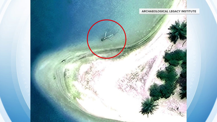 Plane or coconut tree?