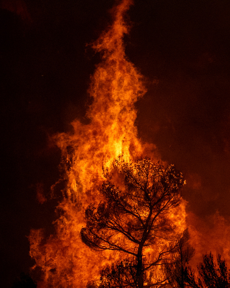 Flames take over a tree.
