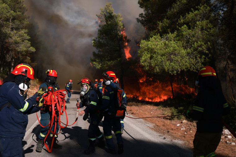 Firefighters battle wildfire in Viotia with air and ground operations