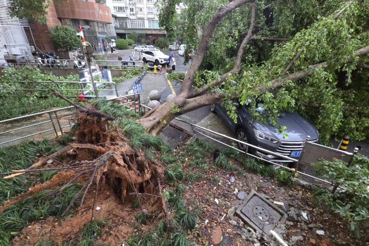 China Typhoon Dolphin aftermath