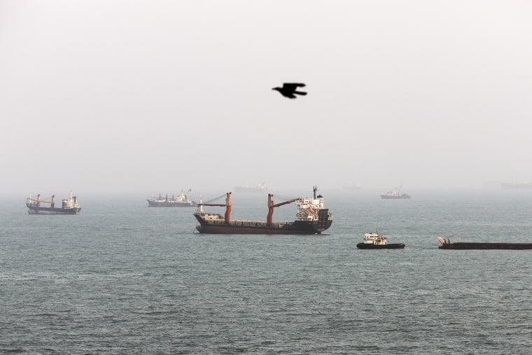 Numerous commercial vessels float under foggy skies as a black bird flys by in the foreground.