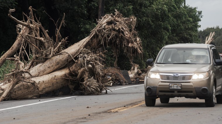 Hurricane Lala Recovery In Hawaii