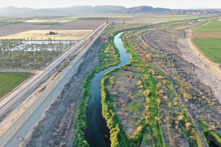 The Colorado River as it flows past farmland near Yuma, Ariz., in 2023.