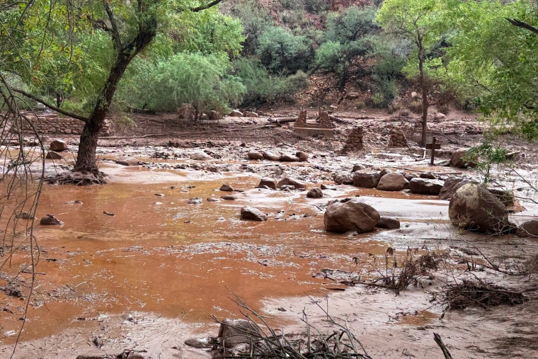 Flood in the park.