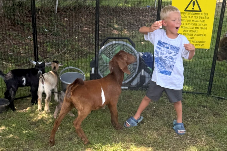 Harmony Farms Petting Zoo in Harmony, North Carolina in August 2026.