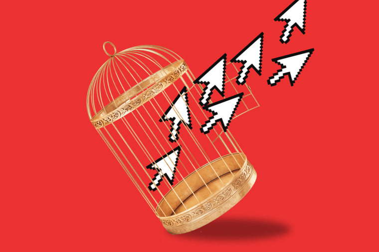 Photo illustration of mouse cursors flying out of birdcage against red background 