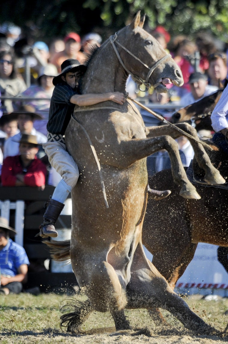 Gaucho competes Holy Week rodeo in Uruguay