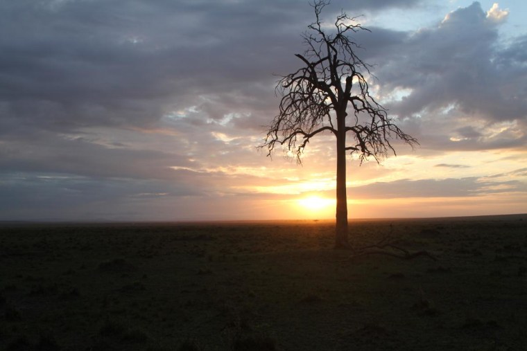 Morning sunrise in Masai Mara, Kenya.