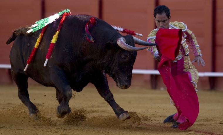 Colombian matador Luis Bolivar performs a pass to a bull during a bullfight on April 16 at The Maestranza bullring in Seville, Spain.