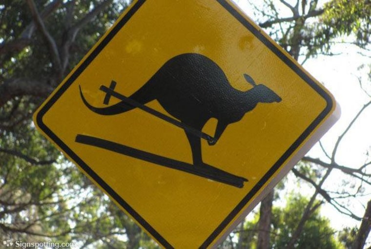 Kangaroo crossing — while skiing