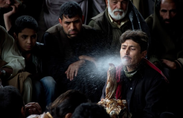 A man sprays water onto the beak of his rooster during a break in between rounds at a weekly cockfight gathering in Kabul, Afghanistan, on April 20, 2012.